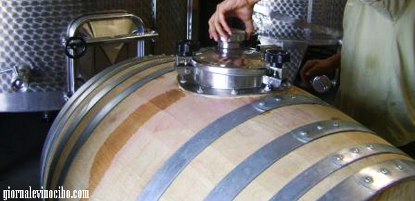 barrique fermentazione