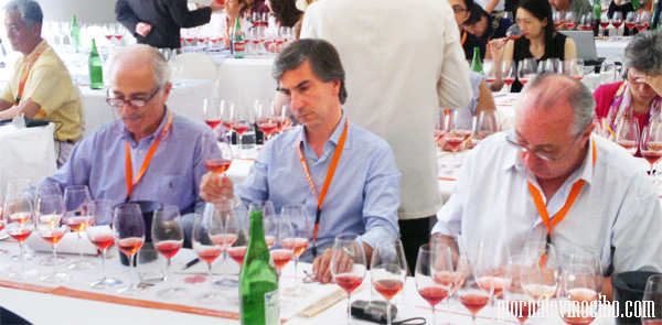 apulia wine identity 2012 tasting