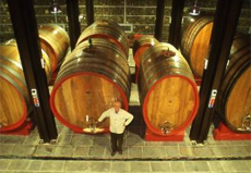 botti brunello soldera 2