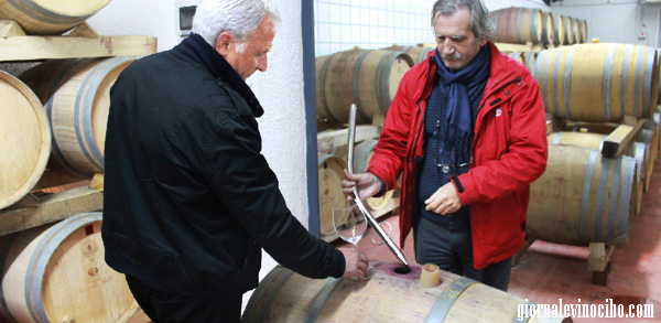 cantine palmeri 4 fermentini giornalevinocibo
