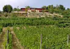 azienda la rovere home giornalevinocibo