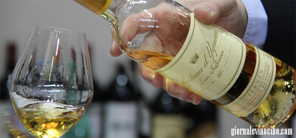 chateau d' yquem 2 giornalevinocibo