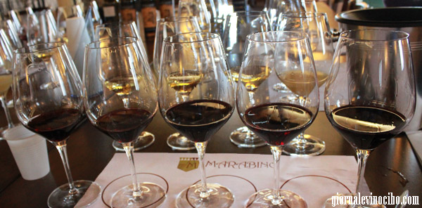 marabino archimede eureka 3 giornalevinocibo