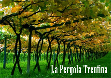 pergola trentina giornalevinocibo