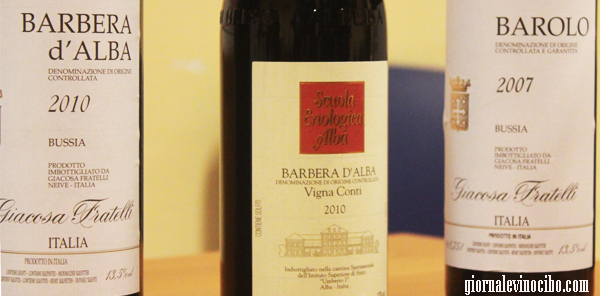 tasting vini piemonte barolo