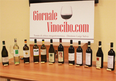 tasting vini piemontesi home