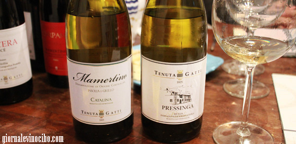 tenuta gatti catalina e pressinga