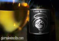 verticale  frascati superiore home giornalevinocibo