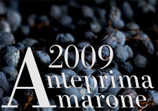 anteprima amarone home 2013