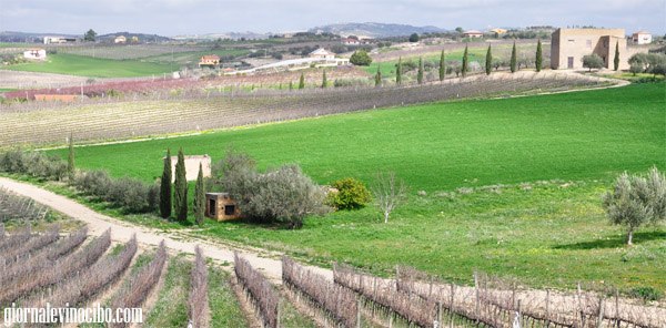 Christ of campobello hills giornalevinocibo