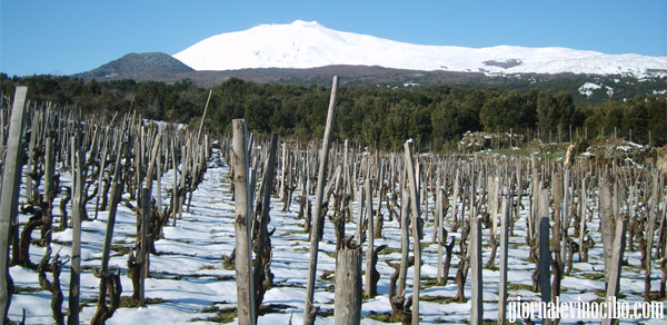 vigneti etna giornalevinocibo
