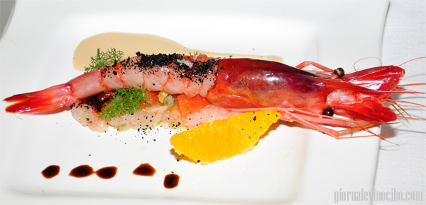 a cuncuma gambero giornalevincibo