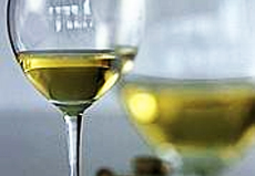 verdicchio giornalevinocibo