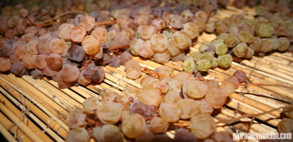 uva passa vin santo
