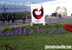 vinitaly 2013 home