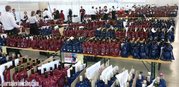 campioni concorso mondiale 2013