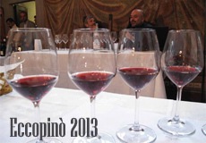 eccopinò 2013 home