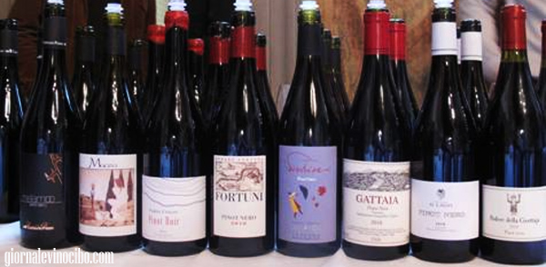 eccopinò2 2013 giornalevinocibo