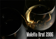 moletto brut home