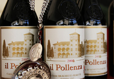 pollenza home
