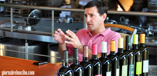 sebastian polinas giornalevinocibo