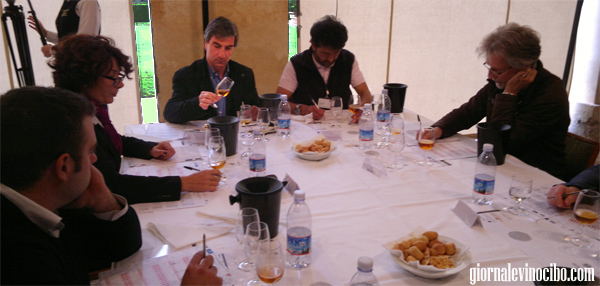 selezione del sindaco 2013 commisione C Luigi Salvo