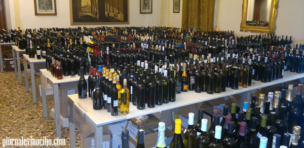 selezione del sindaco 2013 i campioni