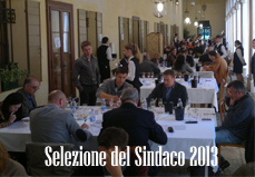 selezione del sindaco home