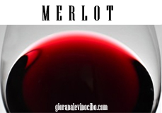 merlot