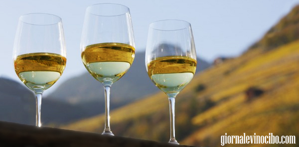 tre bicchiere Gewurztraminer