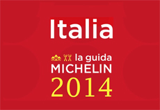 guida michelin copertina 2014