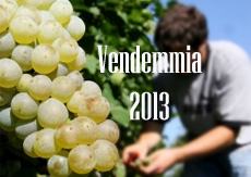 vendemmia 2013 home