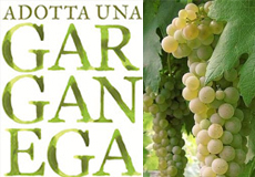 adotta un garganega