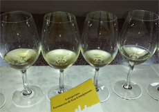 anteprima vernaccia 2014 home