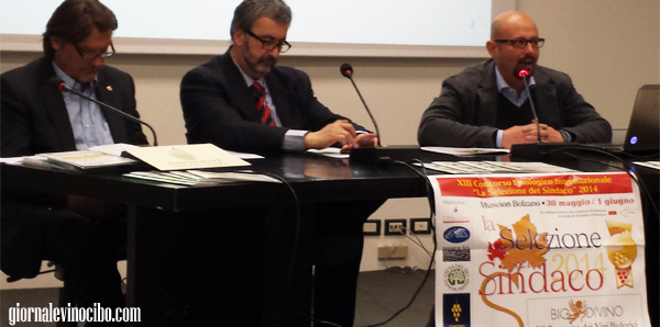 selezione del sindaco 2014 conferenza stampa