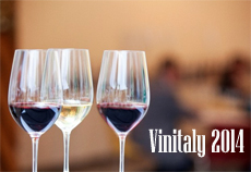 vinitaly 2014 degustazioni