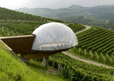 cantine avveniristiche