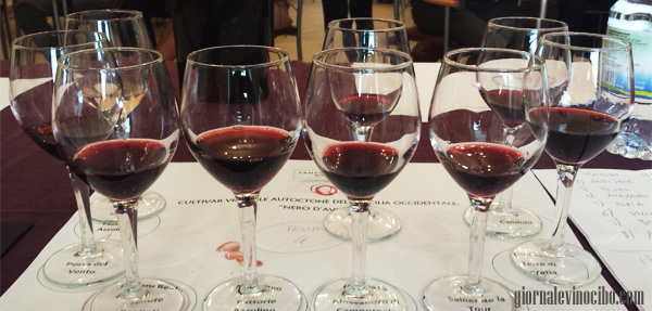 nero d'avola camporeale day