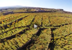 tenuta guardiola etna