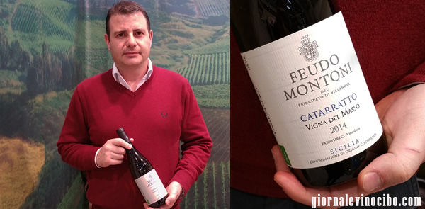 fabio sireci catarratto vigna del masso giornalevinocibo