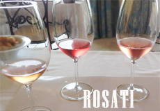 rosati giornalevinocibo home