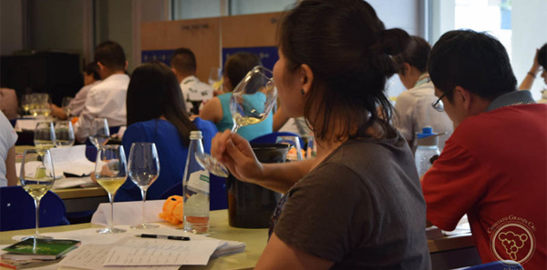 cinesi educational grand cru 2