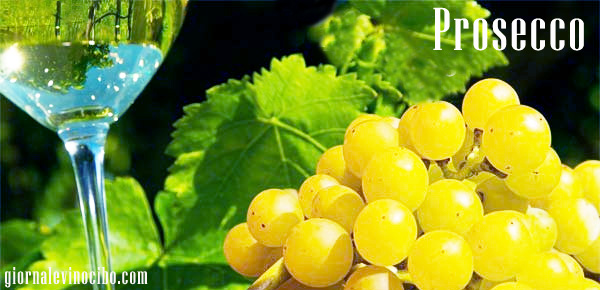 prosecco giornalevinocibo