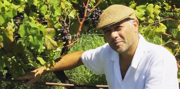 francesco giostra reitano giornalevinocibo