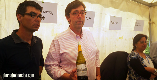 planeta etna bianco gornalevinocibo