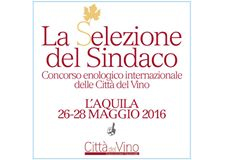 selezione del sindaco 2016 home