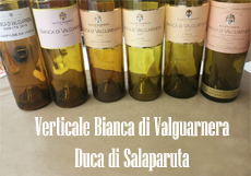 verticale bianca di valguarnera home giornalevinocibo
