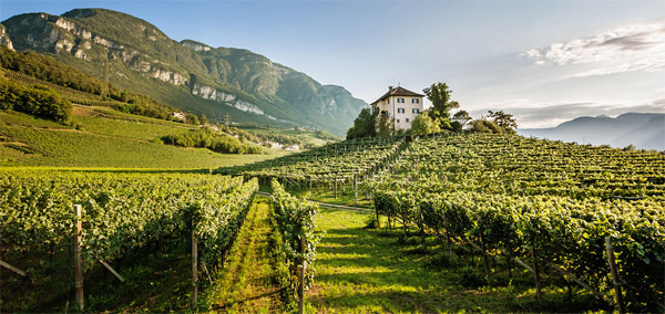 vinum hotels 2 giornalevinocibo