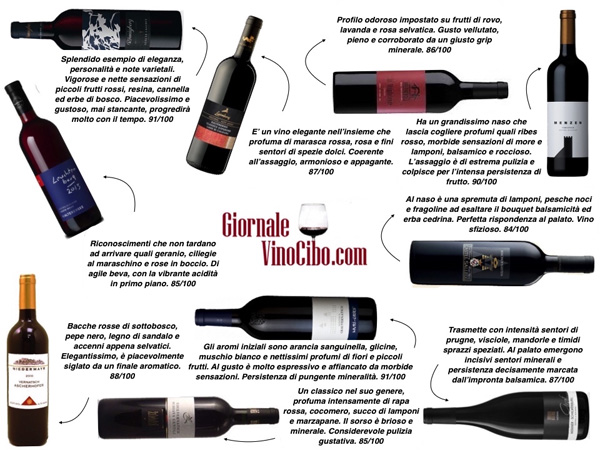 schiava-alto-adige-vernasch-giornalevinocibo-1