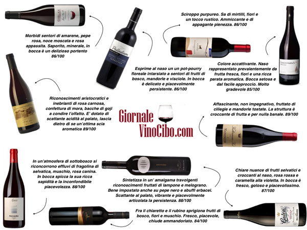 schiava-alto-adige-vernasch-giornalevinocibo-2